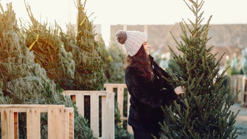      Фото: @prostooleh / ru.freepik.com