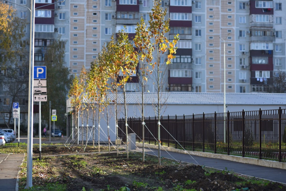 Фото: Алексей ГУСЕВ