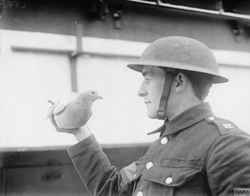 Солдат Корпуса связи США с почтовым голубем, 1918 год