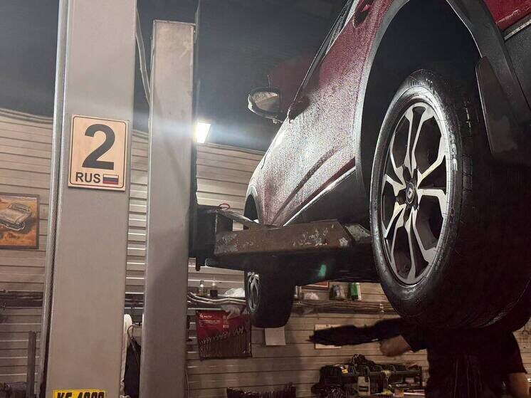     Доля российских авто на рынке страны в целом увеличилась более чем в два раза за год – с 24% до 56%. Фото: архив МК в Питере