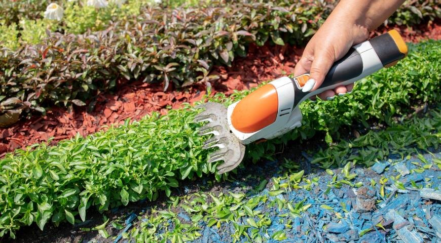 Странные вещи, которые понимают только перфекционисты