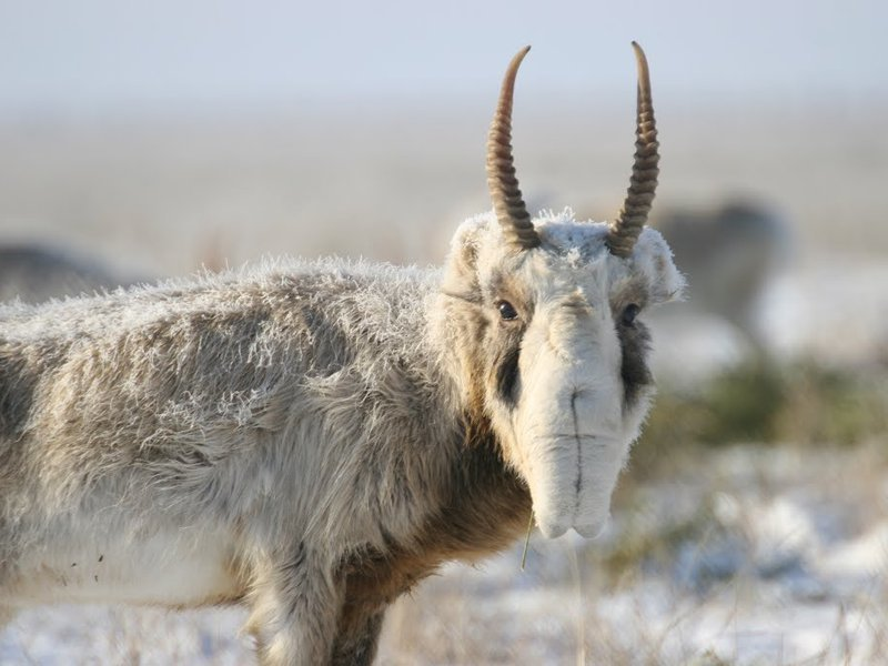 Зимний режим: встроенная печка активирована!