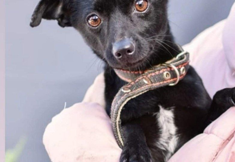 В ПРИЮТ НУЖНА ЕДА