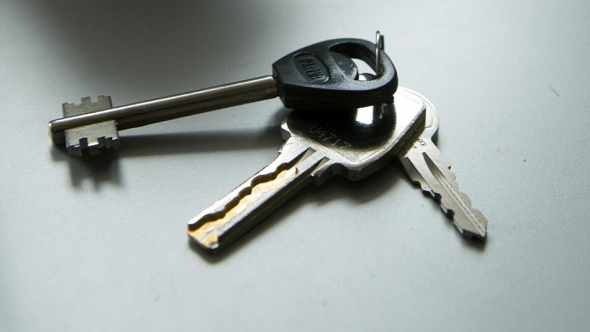    Фото: Nikolay Gyngazov/globallookpress.com