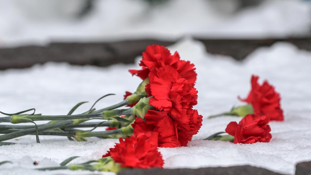    Фото: Bulkin Sergey/news.ru