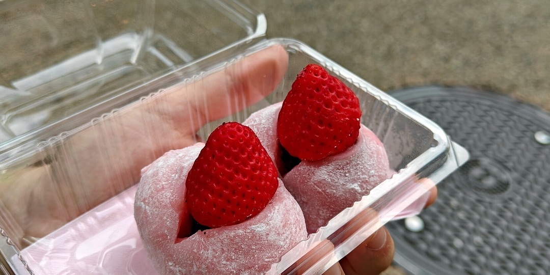 Якинику, такояки, экибэн: туристка попробовала национальные блюда Японии и дала свою оценку