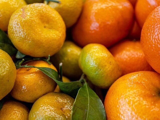    Фото: пресс-служба департамента торговли и услуг города Москвы