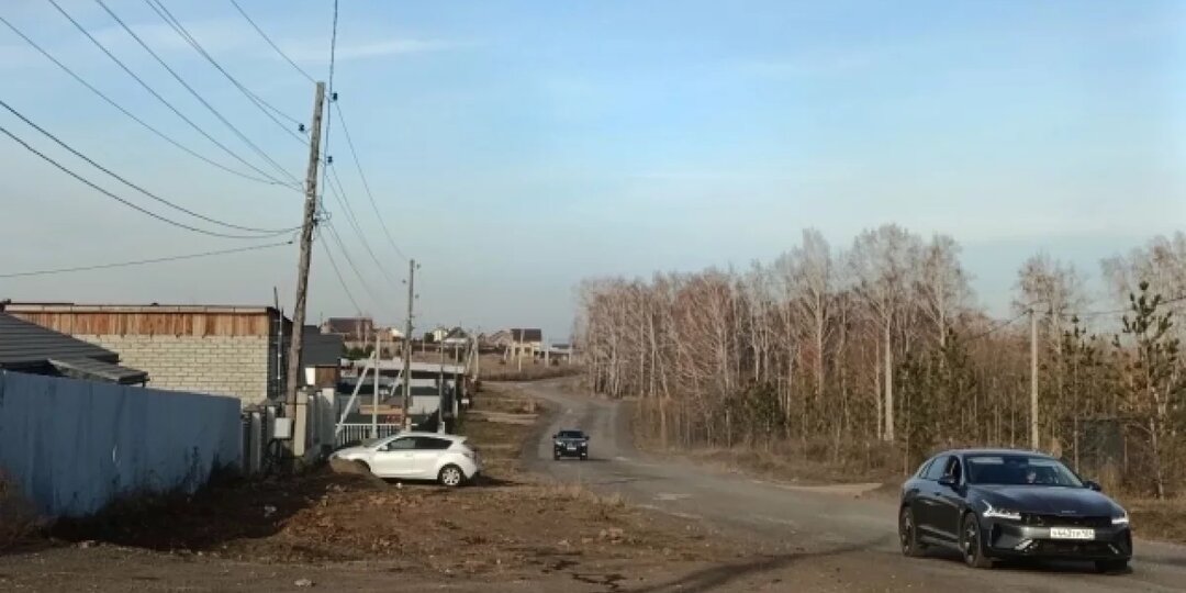 За гибель ребенка от собак в СНТ «Теремок» требуют более 12 млн рублей