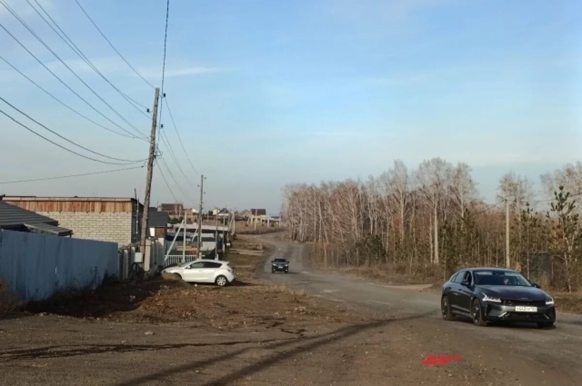    За гибель ребенка от собак в СНТ «Теремок» требуют более 12 млн рублей