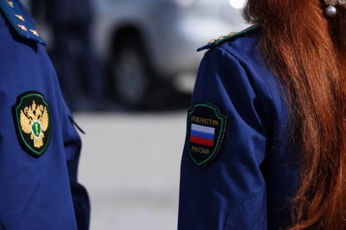    На Камчатке 2-летний малыш получил травмы из-за гололеда во дворе детсада