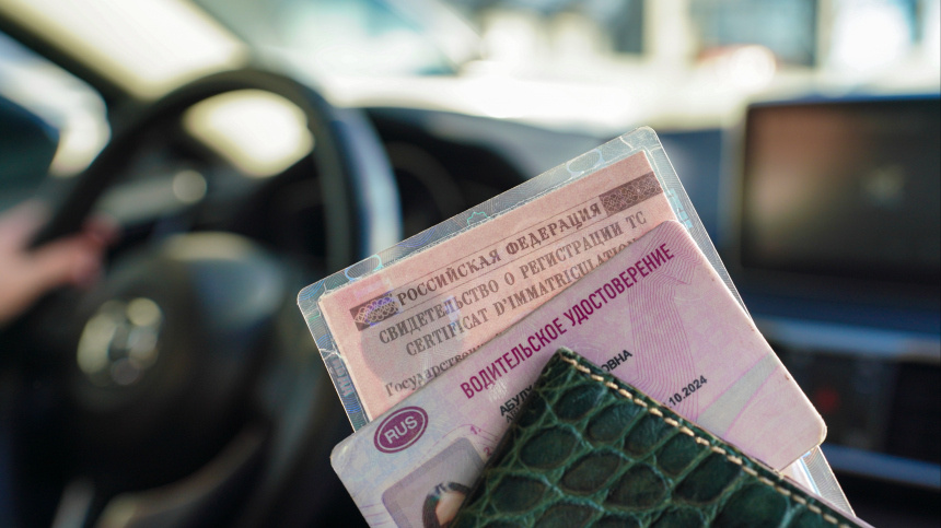    Фото: ИЗВЕСТИЯ/Анна Селина; 5-tv.ru