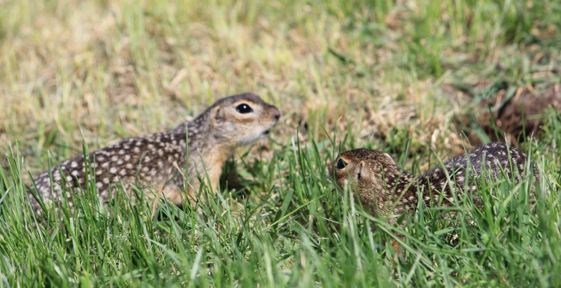    Фото: Екатерина Кострова