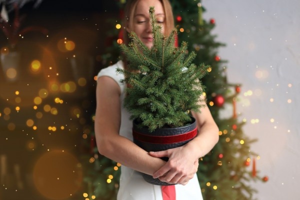 Источник фото shutterstock.com