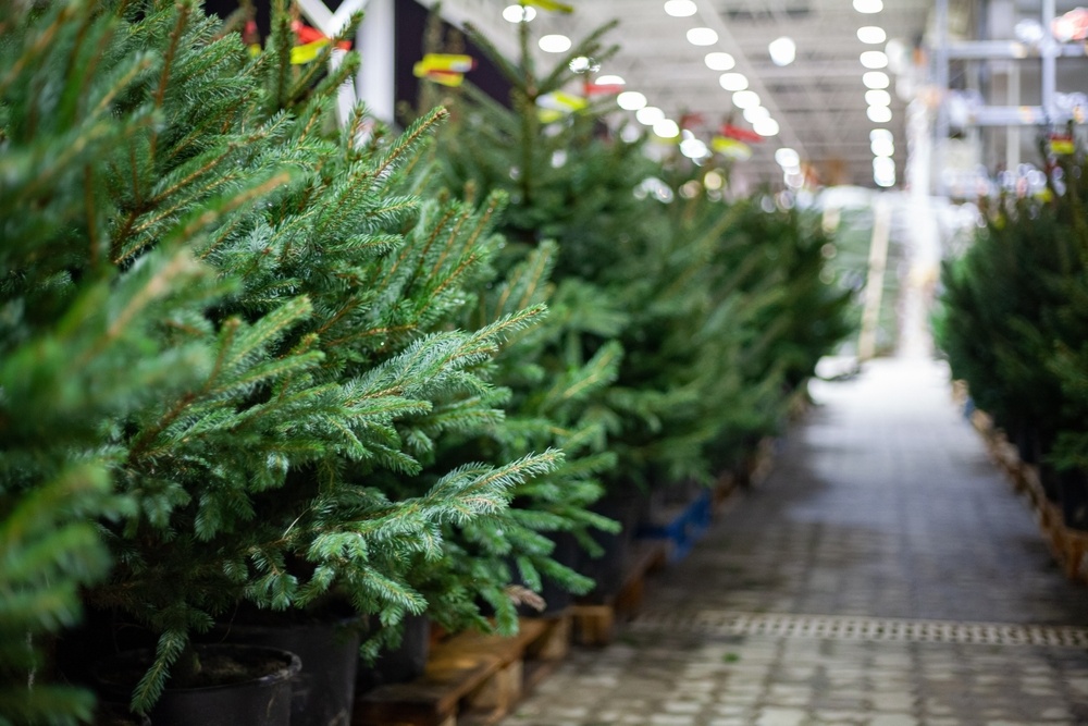 Источник фото shutterstock.com