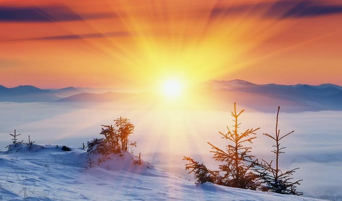 картинки Яндекс