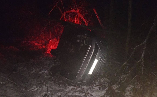    © МЧС Ленобласти