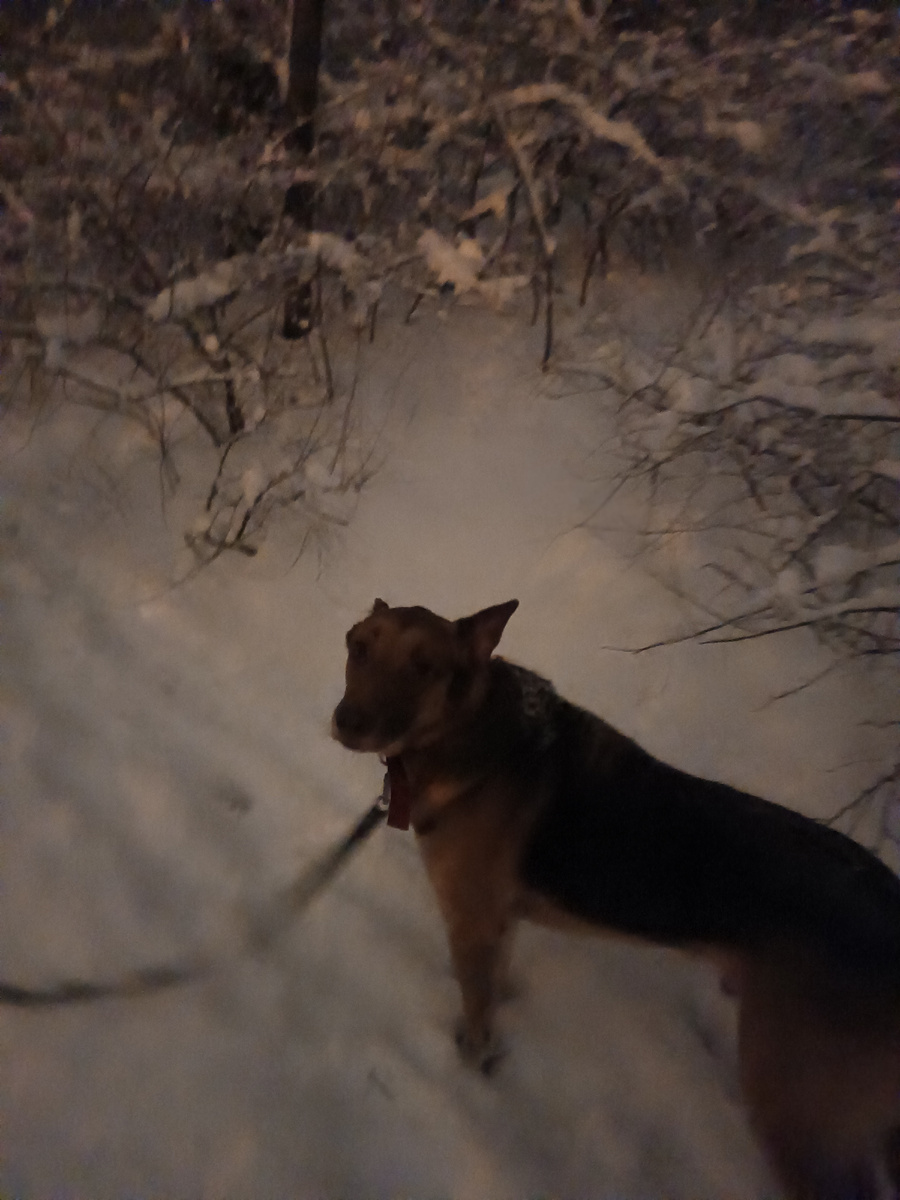 Почему темно?