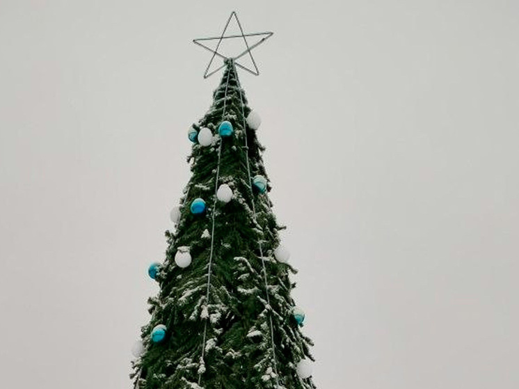     фото: Администрация Долгоруковского округа