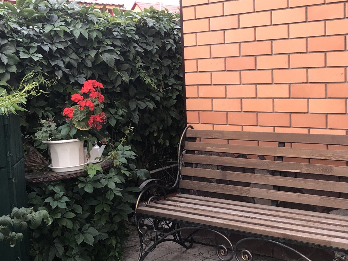 Пеларгония