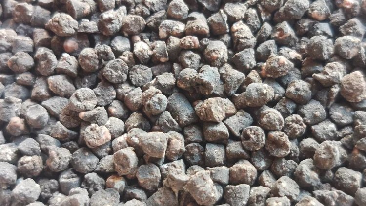    Фото: Лукьянов Дмитрий, AgroXXI.ru