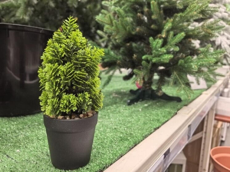     Выбор новогодней красавицы в Хабаровске: как найти свою идеальную искусственную елку / Кирилл Старков