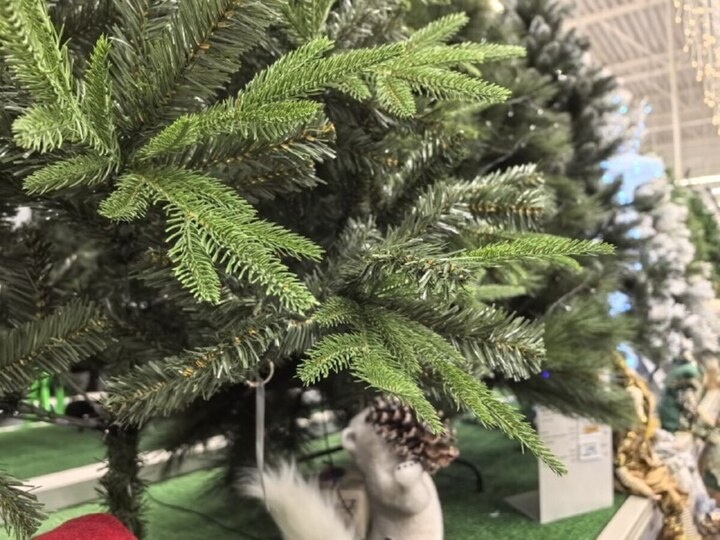   Кирилл Старков