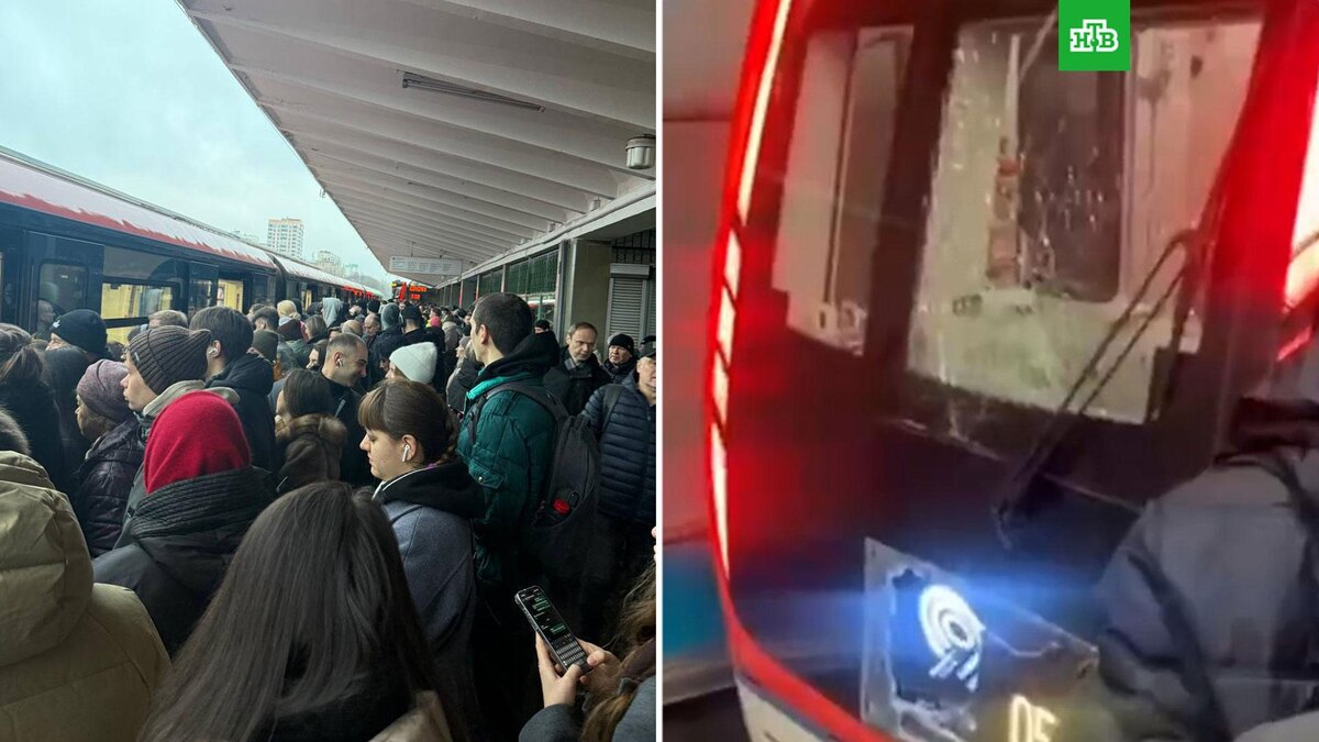    Фото: msk_live / t.me