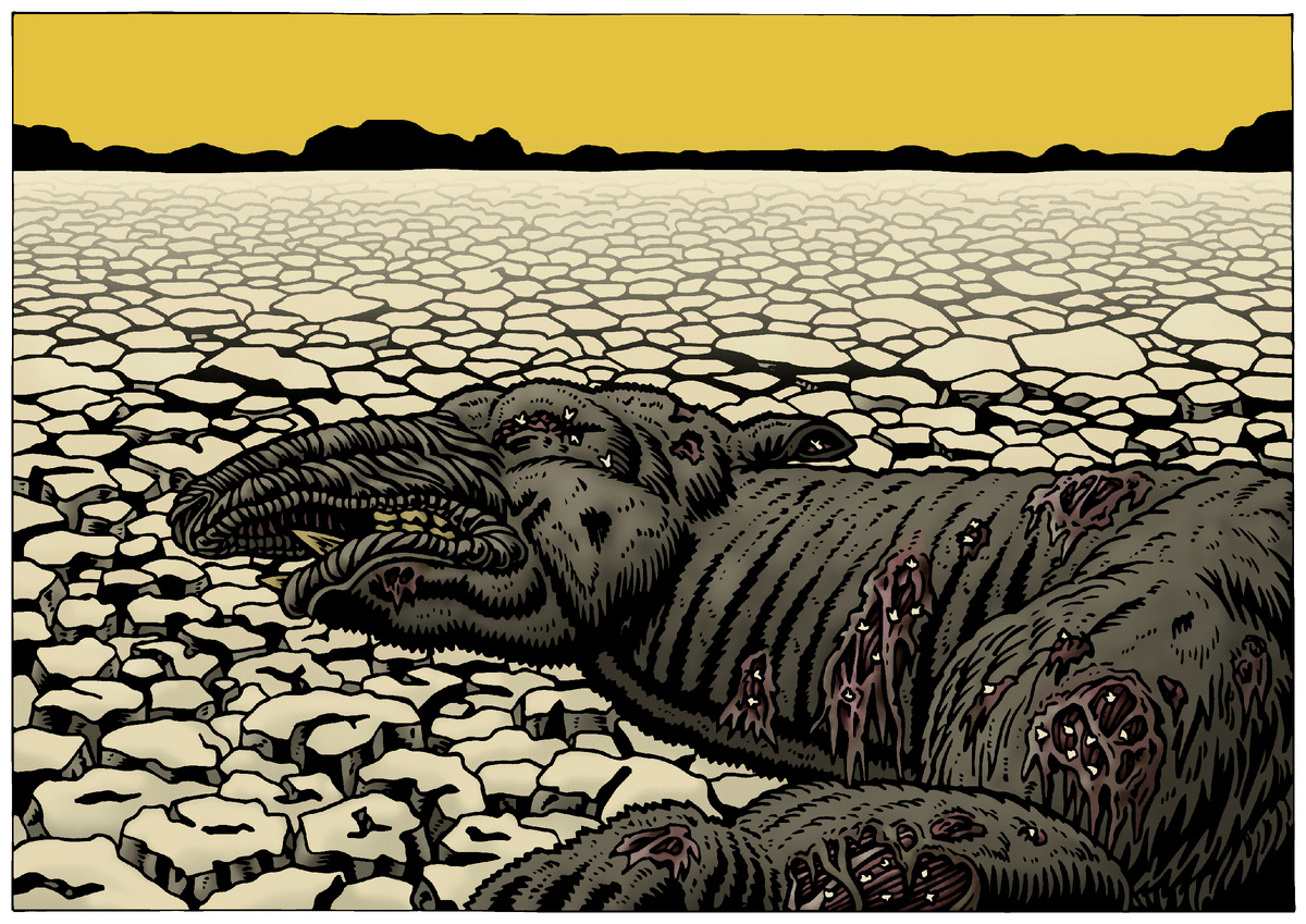 Как Огромная Лягушка Выпила Всю Воду - На Степи Опустилось Страшное Несчастье