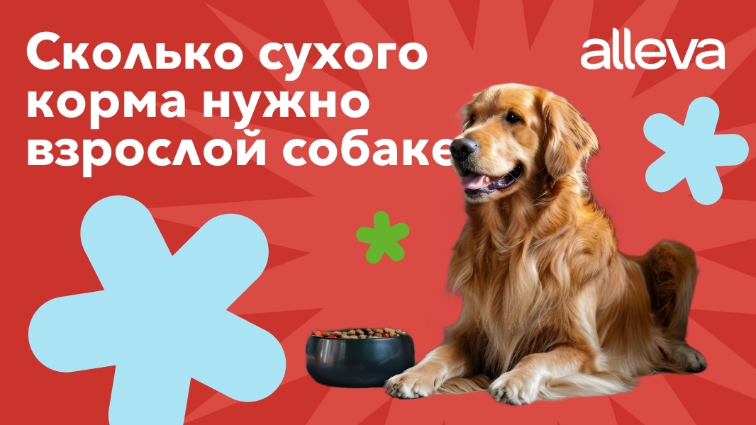 Создать карусель