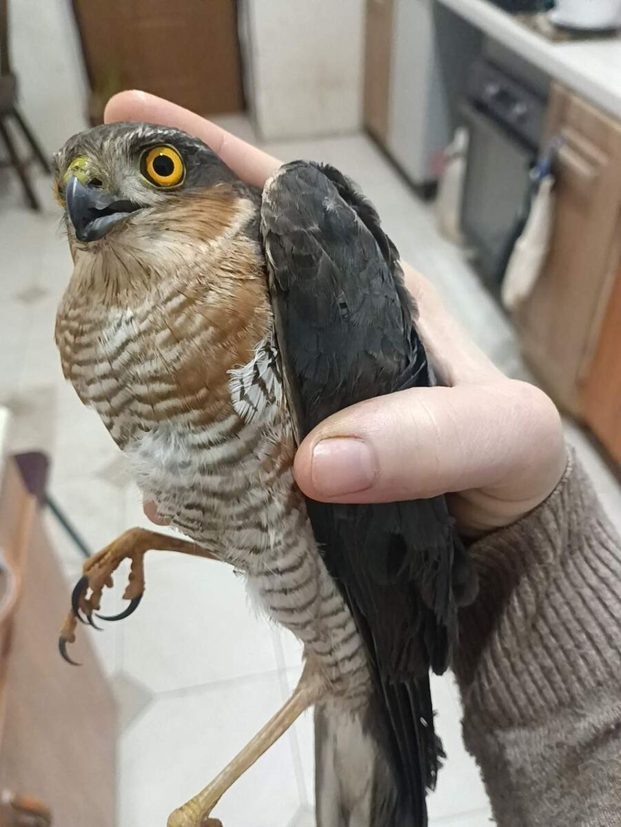    Фото: Надежда Ельчина