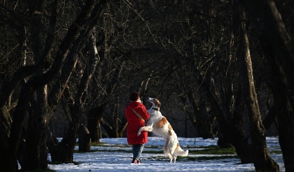 фото: РИА Новости/Максим Блинов