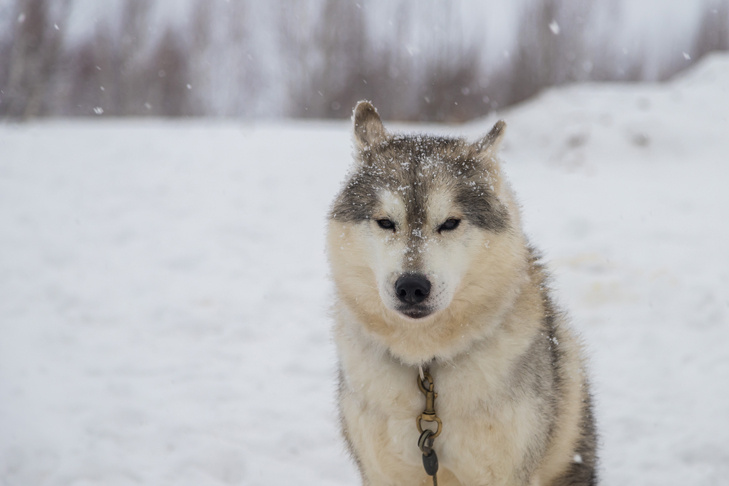   Фото Андрея Заржецкого