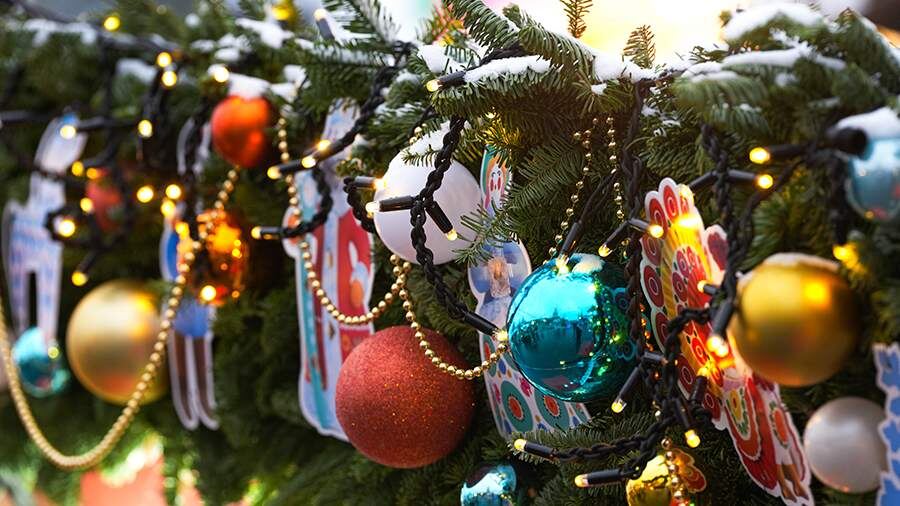    Фото: ИЗВЕСТИЯ/Андрей Эрштрем