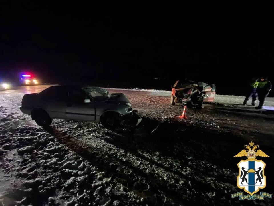    ДТП в Черепановском районе. Источник: Госавтоинспекция Новосибирской области