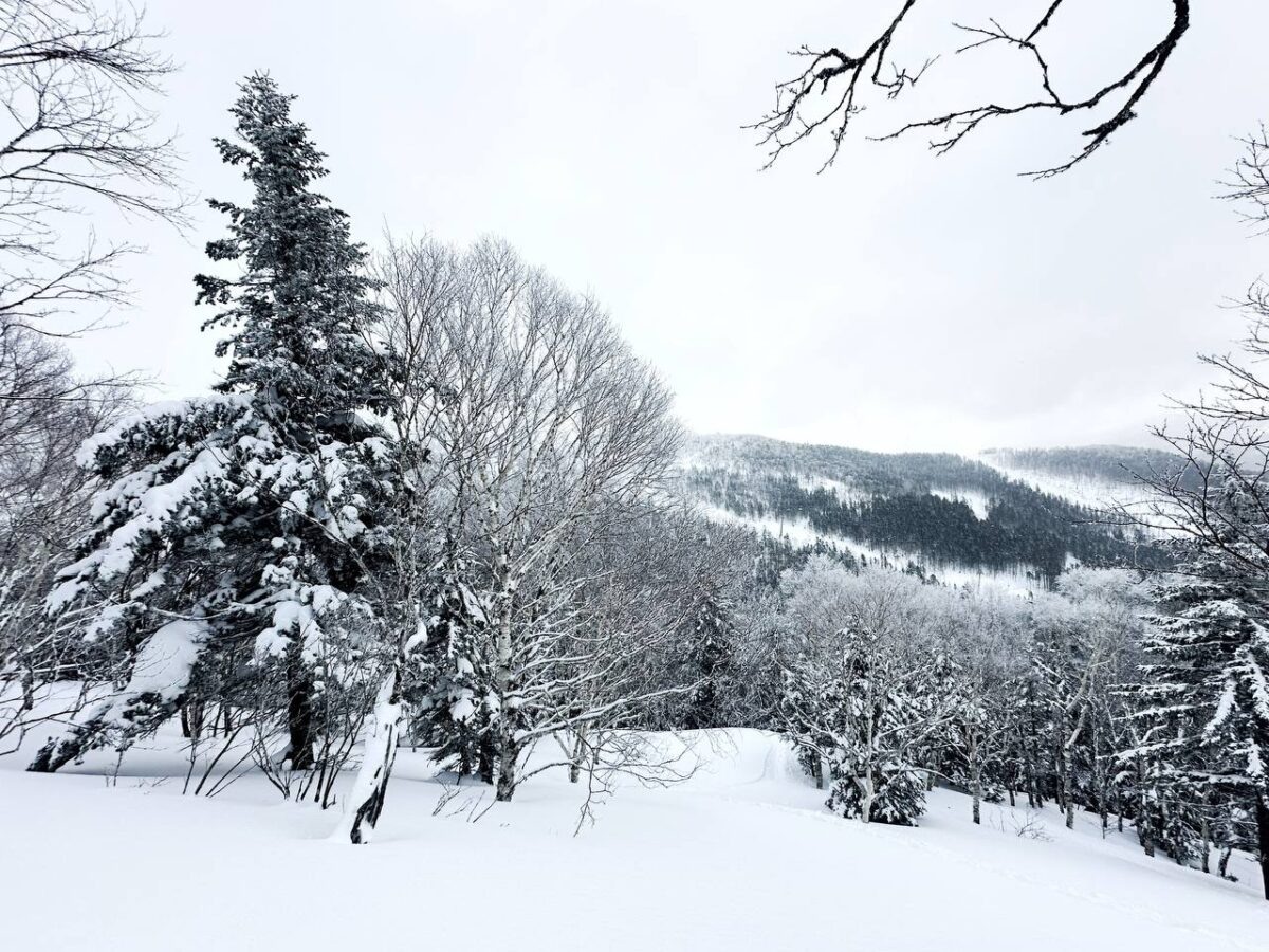    Природа, зима, снег Наталья Краснова