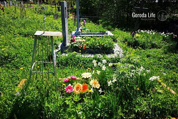     Фото: Города Лайф