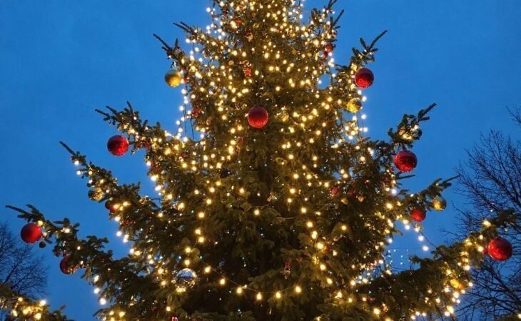 Новогодняя елка. Фото: сгенерировано с помощью нейросети "Алиса", "Атмосфера"