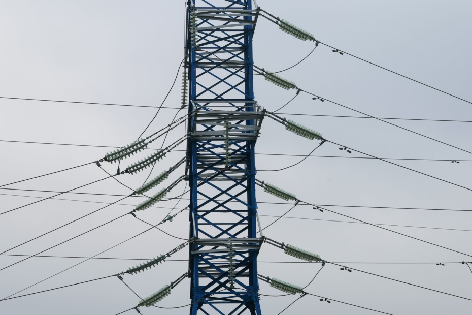    Алексей Белкин/NEWS.ru