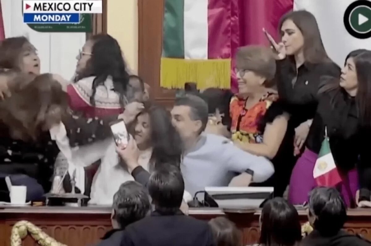    В Мексике женщины-конгрессмены вырвали друг другу волосы в драке на дебатах