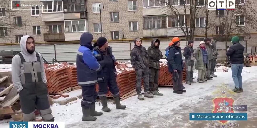 МВД: в Сергиевом Посаде во время рейда задержали 23 нелегальных мигранта