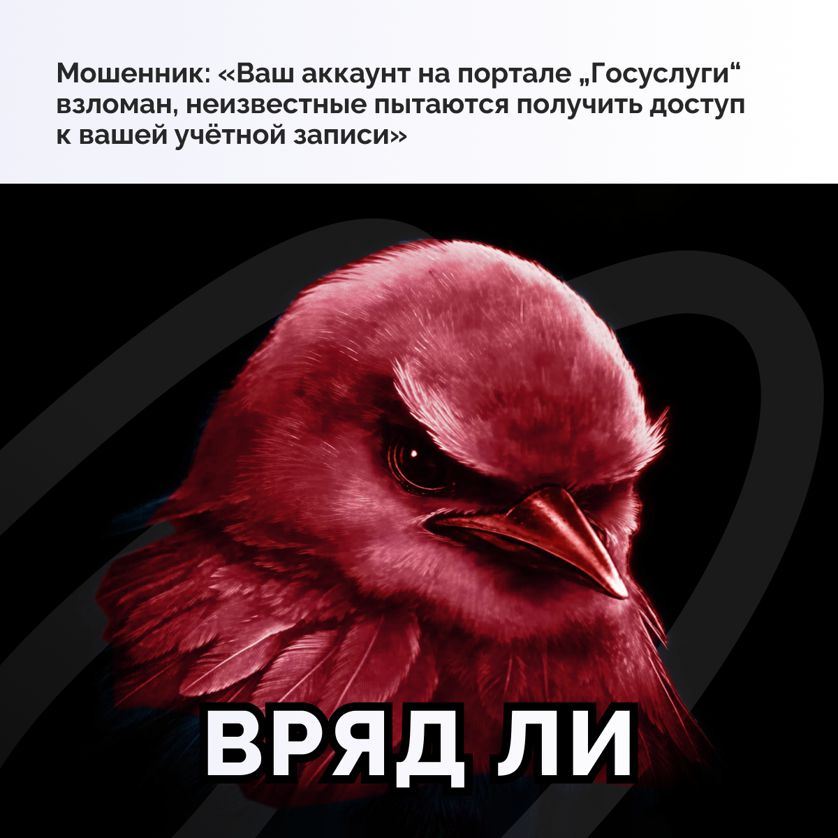 Птичка вряд ли