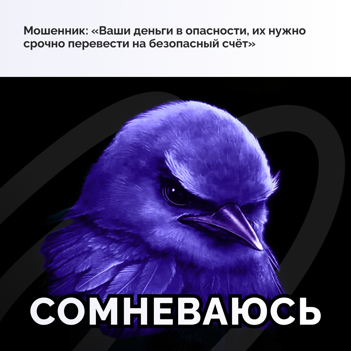 птичка сомневаюсь