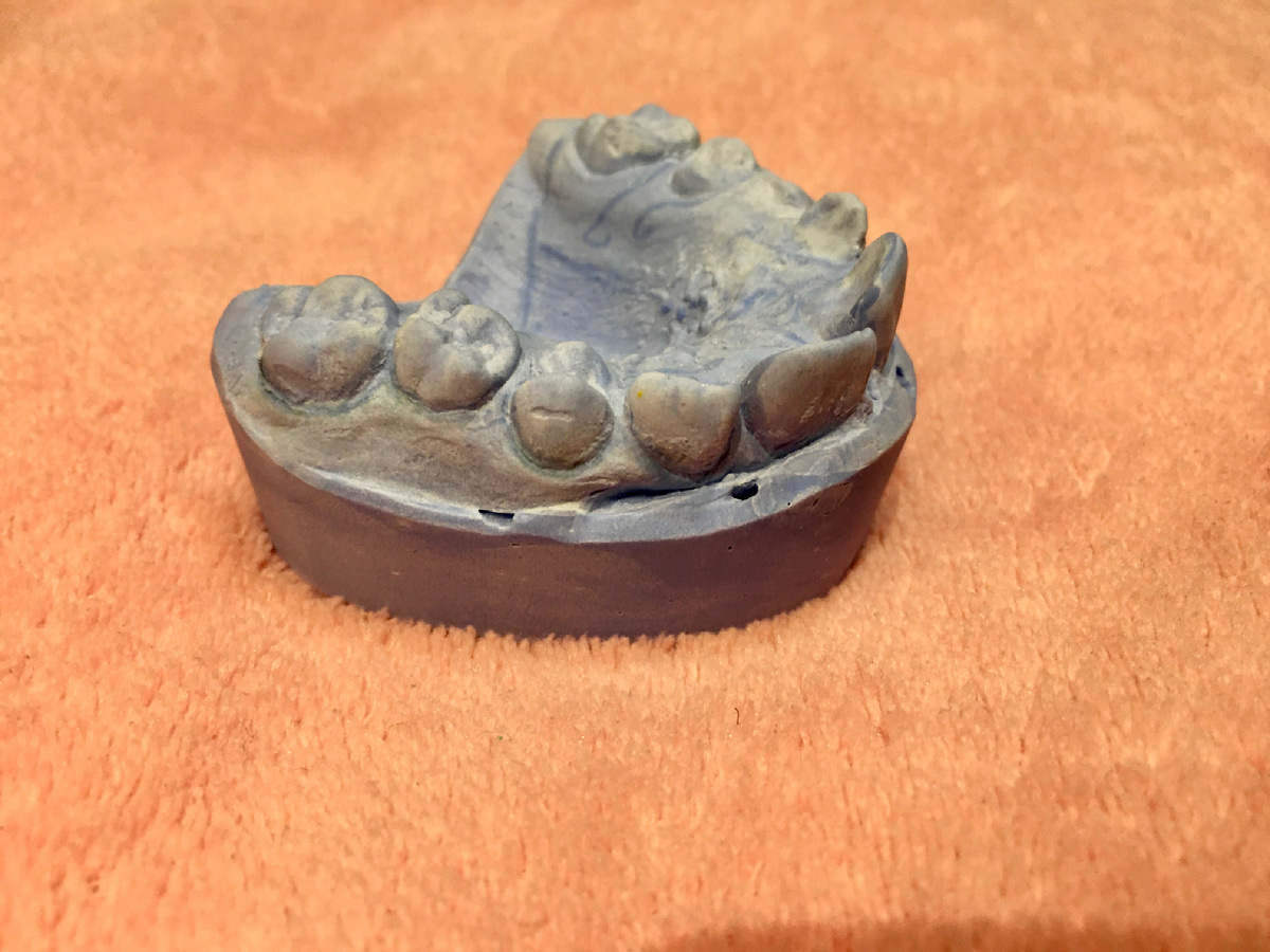 Слепок верхней детской челюсти. Ещё нижнюю обещали отдать 😅