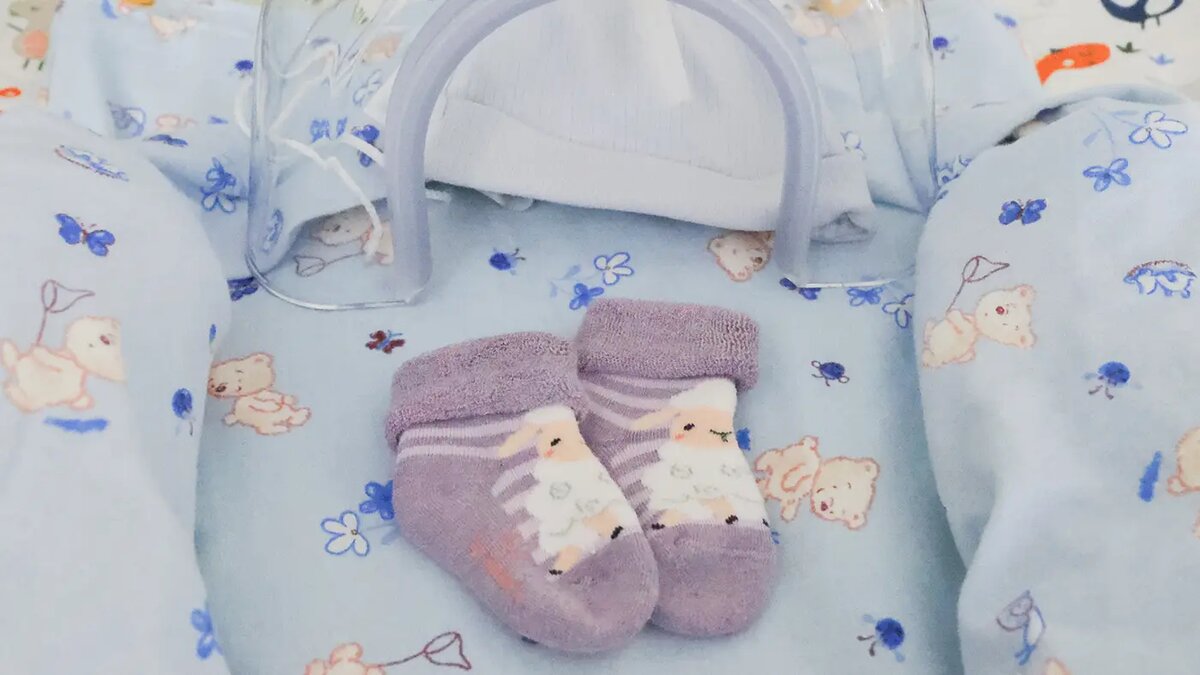   Владимир Гердо / ТАСС