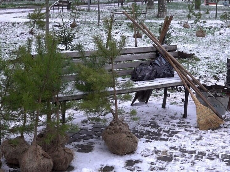     Фото: администрация Бердянского городского округа