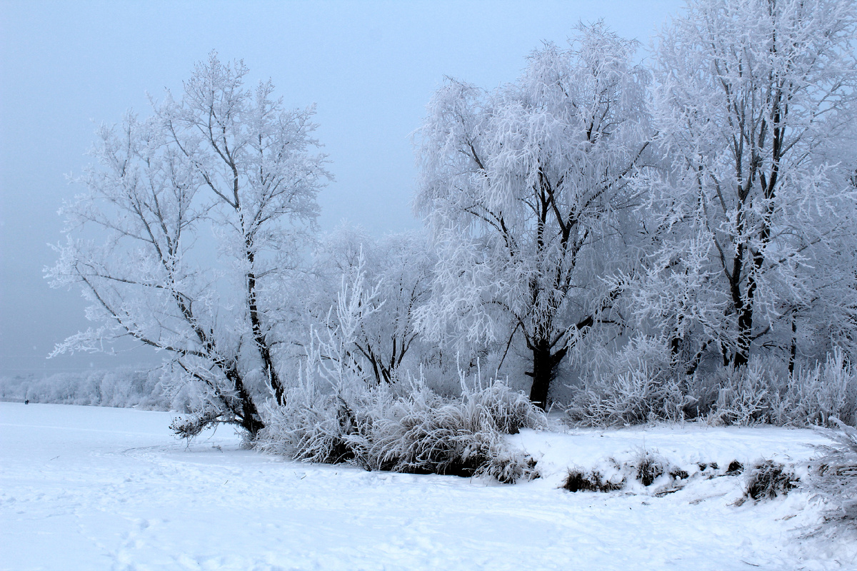 Река зимой (фото автора)
