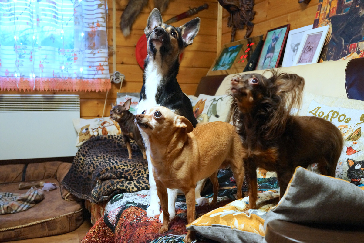 Групповое фото