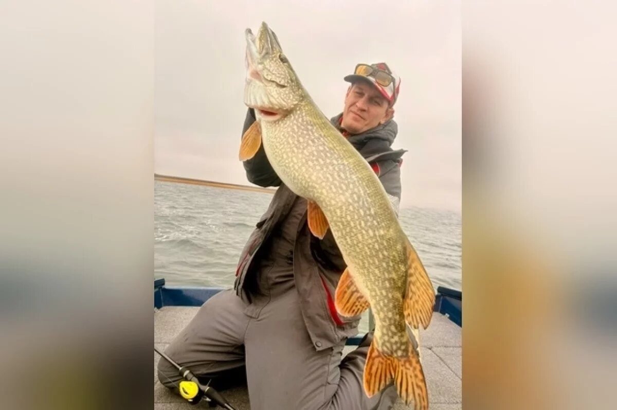    «Монстры в воде, а это так, тётя»: гигантскую щуку поймал волгоградец