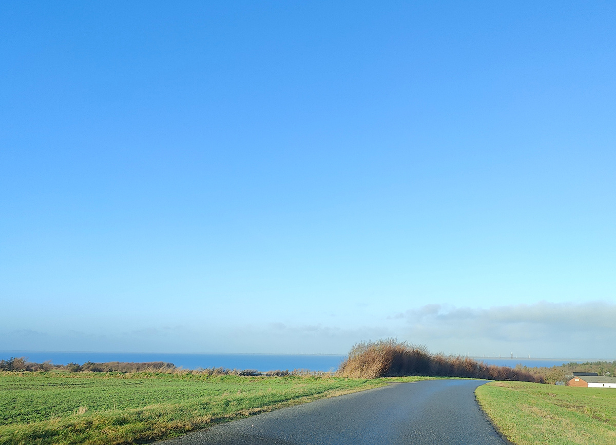 Розы еще цветут..  (вторая картинка)