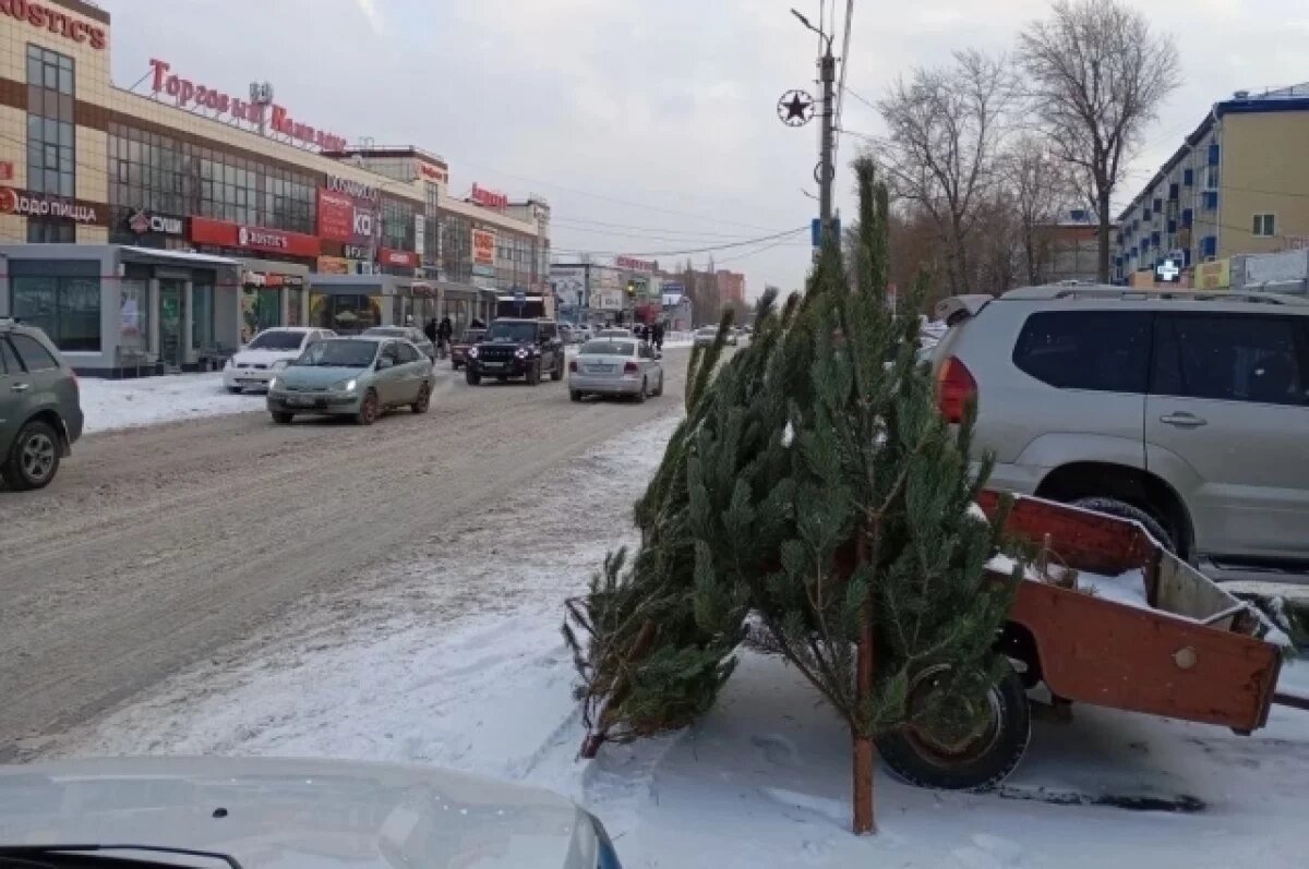    Омич оштрафован за «ёлочный базар» прямо на проезжей части